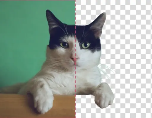Background Remover